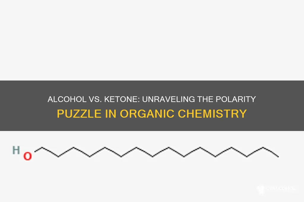 which is more polar an alcohol or ketone