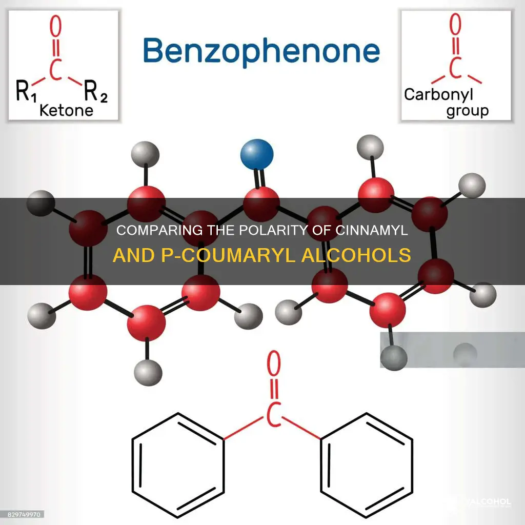 which is more polar cinnamyl alcohol or p coumaryl alcohol
