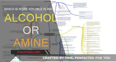 Solubility in Water: Alcohol vs. Amine