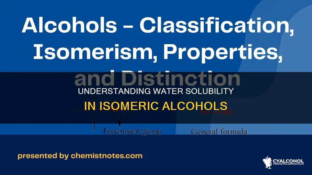 which is more soluble in water ther or isomeric alcohols