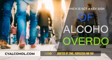 Alcohol Overdose: Key Signs to Watch Out For