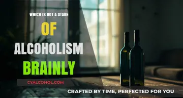 Understanding Alcoholism Stages: What’s Not Included in the Progression