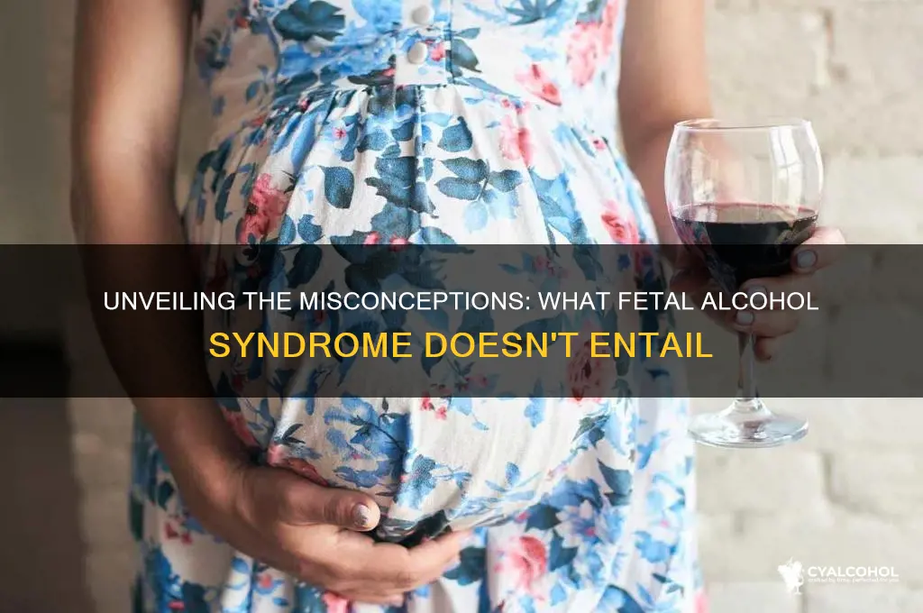 Unveiling The Misconceptions: What Fetal Alcohol Syndrome Doesn't ...