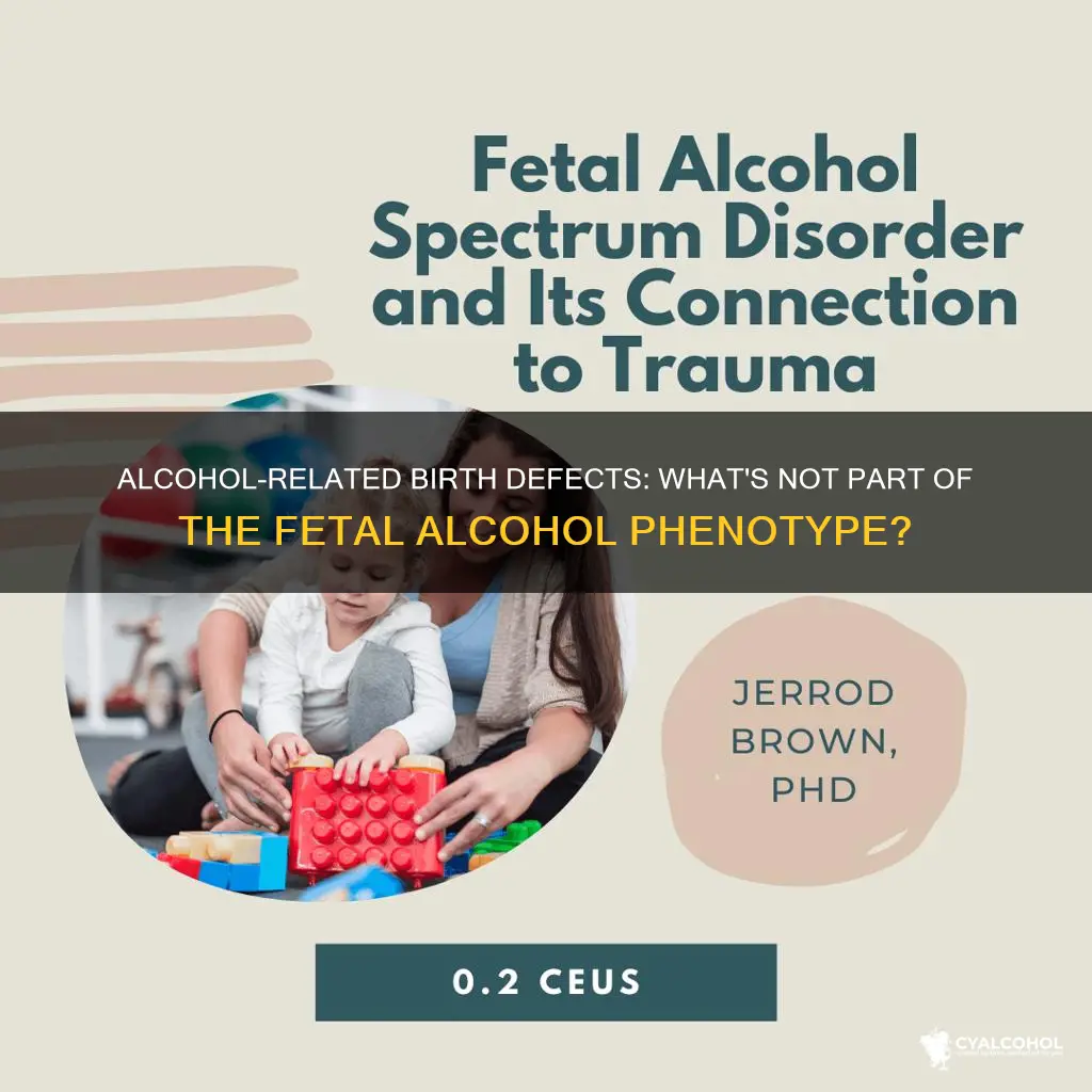 which is not part of the fetal alcohol phenotype