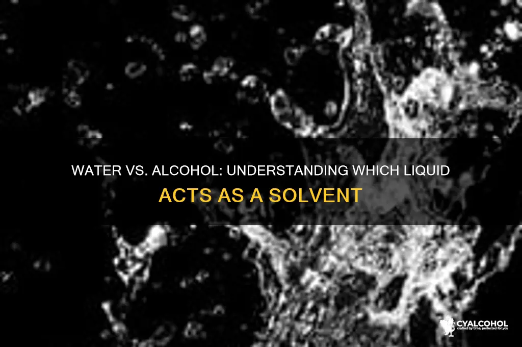 which is solvent water or alcohol
