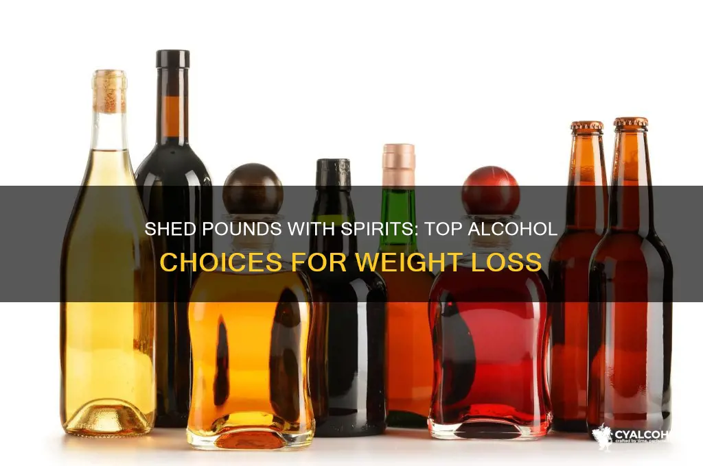 which is the best alcohol for weight loss