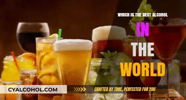 Exploring the World's Finest Alcohol: A Quest for the Best