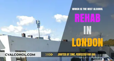 Top Alcohol Rehab Centers in London: Finding the Best Recovery Support