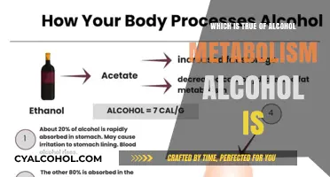 Understanding Alcohol Metabolism: Key Facts and Common Misconceptions