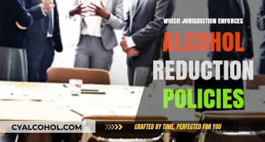 Global Alcohol Reduction Policies: Which Jurisdictions Lead Enforcement Efforts?