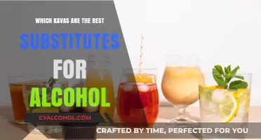 Top Kava Varieties to Replace Alcohol for Relaxation and Socializing