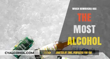 Discover the Kombucha with the Highest Alcohol Content: A Guide