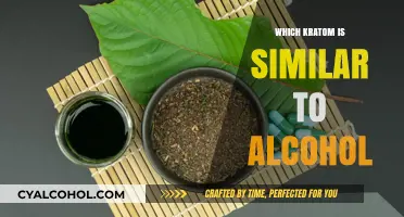 Exploring Kratom Strains with Effects Similar to Alcohol's Relaxation