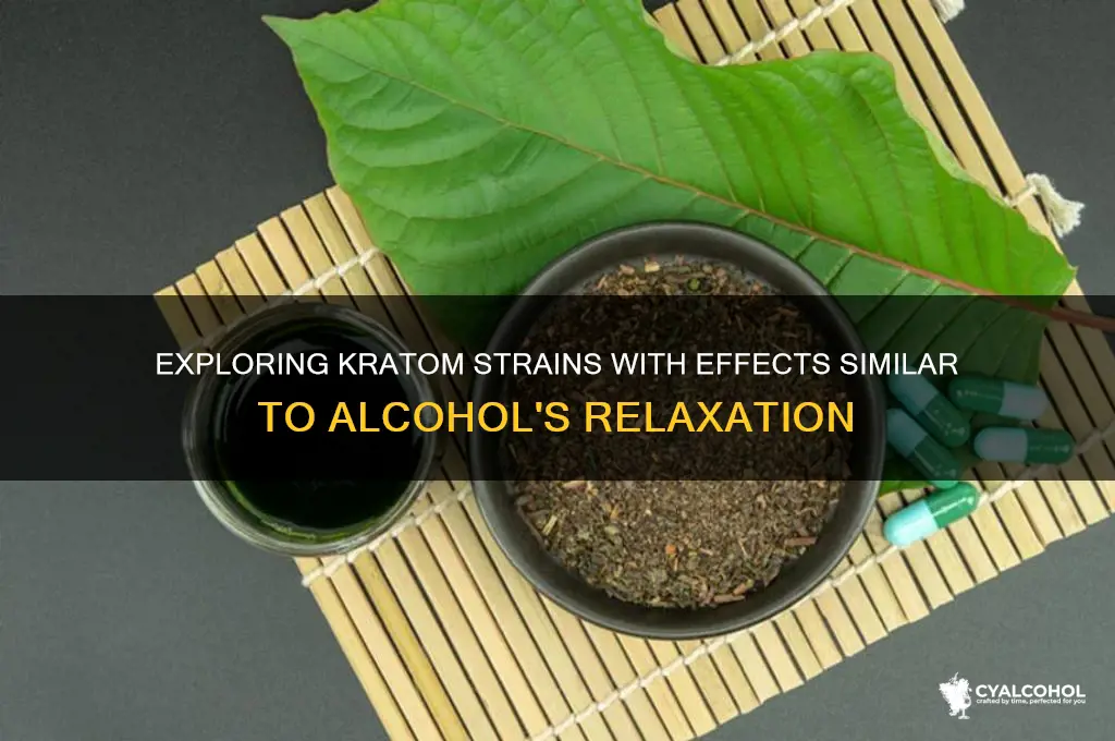 which kratom is similar to alcohol