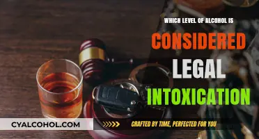 Legal Intoxication Levels: Understanding Alcohol Limits and Their Implications