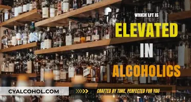 Elevated GGT: A Key Indicator of Alcohol-Related Liver Damage