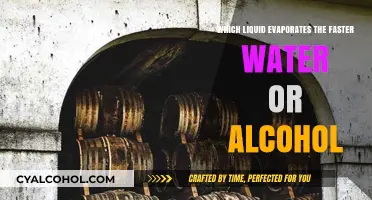 Water vs. Alcohol: Which Liquid Evaporates Faster and Why?