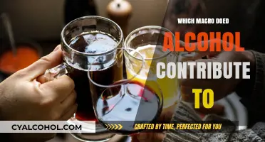 How Alcohol Impacts Macro Nutrient Intake and Metabolic Processes