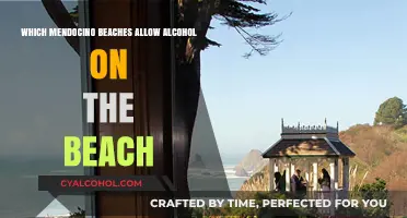 Alcohol-Friendly Mendocino Beaches: Where to Enjoy Drinks by the Ocean
