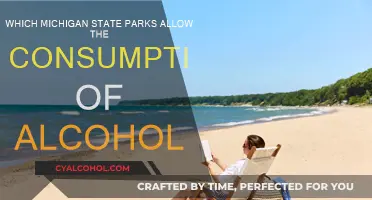 Michigan State Parks: Alcohol Consumption Rules