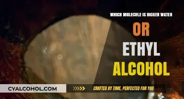 Comparing Molecular Sizes: Water vs. Ethyl Alcohol Explained