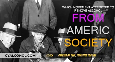 The Prohibition Movement: America's Attempt to Ban Alcohol