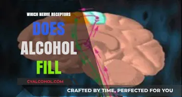 How Alcohol Activates Specific Nerve Receptors in the Brain