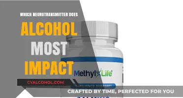 How Alcohol Primarily Affects GABA and Glutamate Neurotransmitters