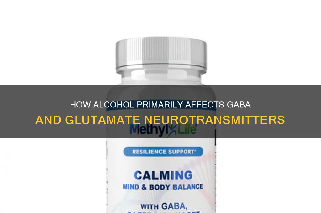 which neurotransmitter does alcohol most impact