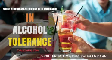 Neurotransmitter Role in Alcohol Tolerance: Uncovering the Science Behind It