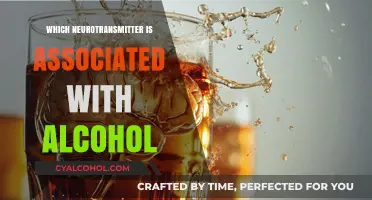 Alcohol's Neurochemical Link: Unveiling the Role of GABA and Dopamine