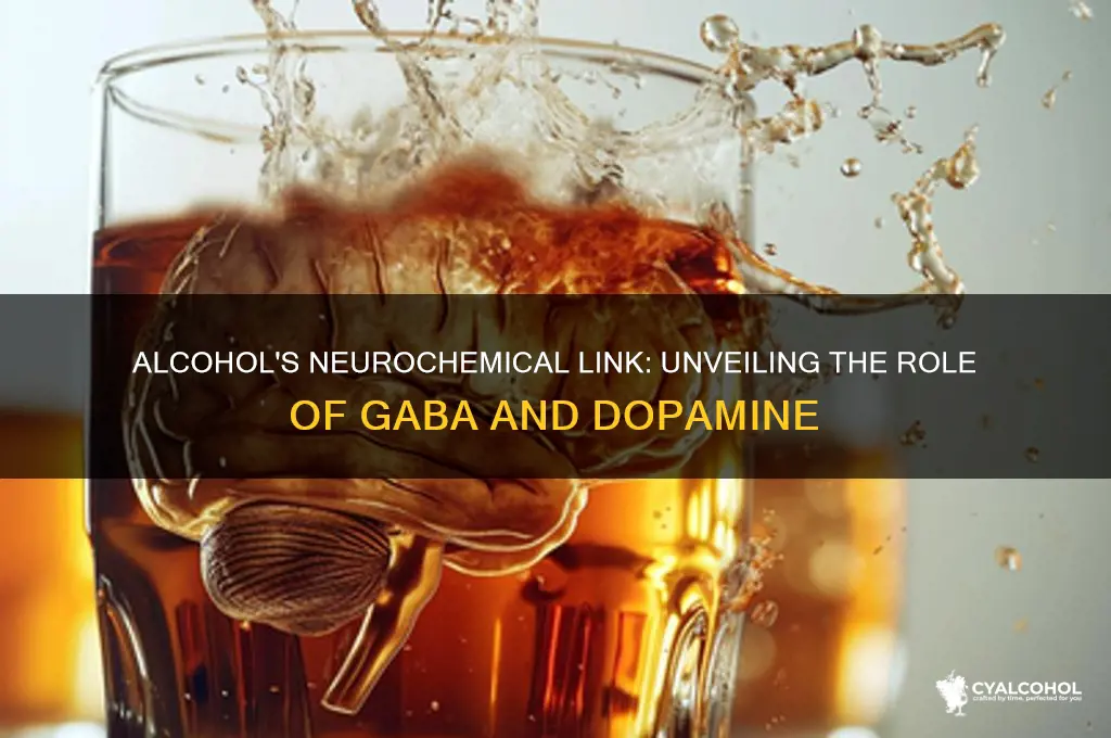 which neurotransmitter is associated with alcohol