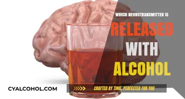 Alcohol's Neurochemical Secret: Unveiling the Key Neurotransmitter Released