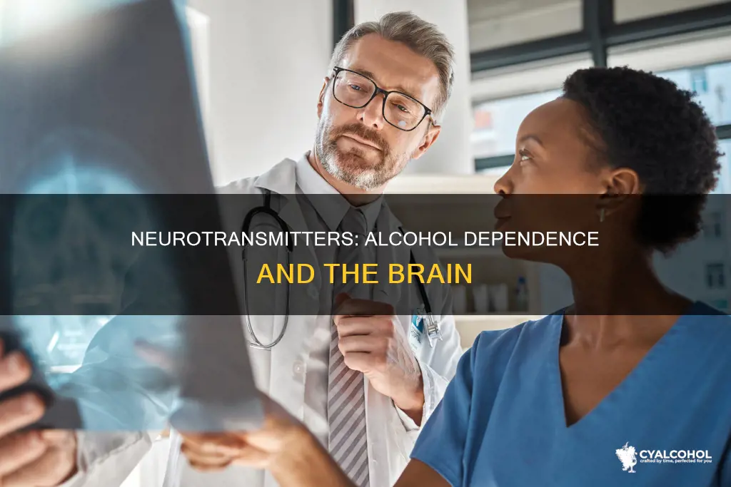 which neurotransmitters are instrumental in the onset of alcohol dependence