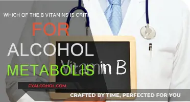 The B Vitamin Essential for Alcohol Metabolism