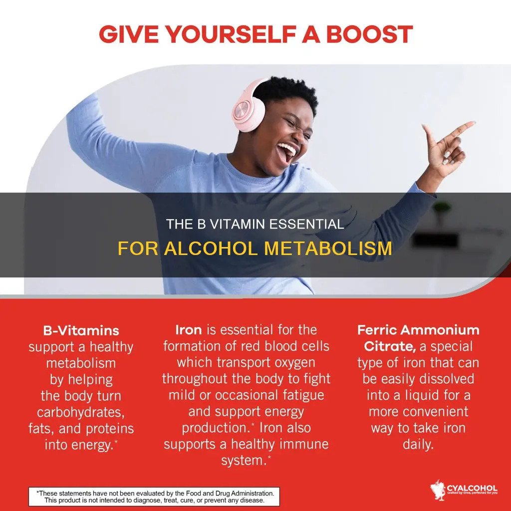 which of the b vitamins is critical for alcohol metabolism