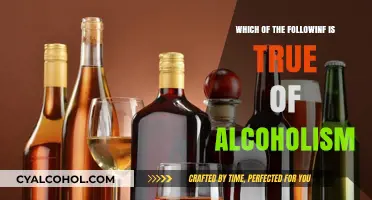 Understanding Alcoholism: Debunking Myths and Uncovering Key Facts
