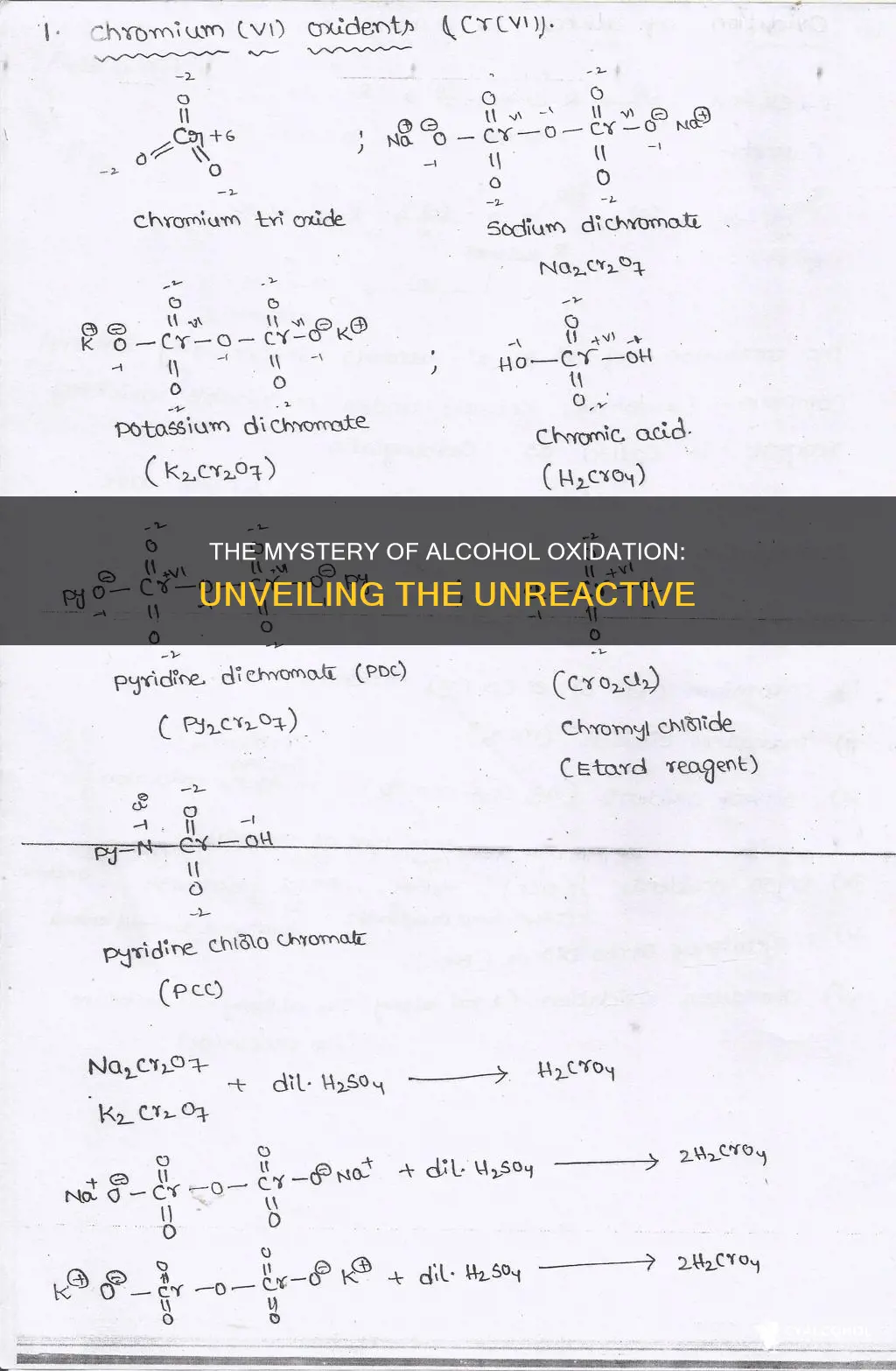 which of the following alcohols cannot be oxidized by h2cro4