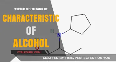 Understanding Alcohol: Key Characteristics and Properties Explained