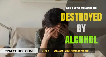 Alcohol's Destructive Path: What It Destroys in Your Body and Life