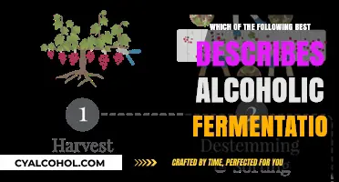 Understanding Alcoholic Fermentation: Key Processes and Defining Characteristics