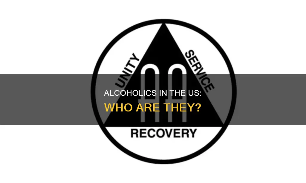 which of the following best describes alcoholics in the us
