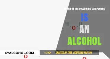 Identifying Alcohols: Key Characteristics and Common Examples Explained