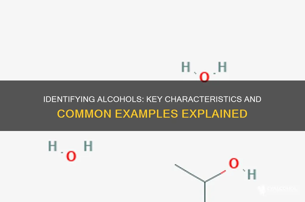 which of the following compounds is an alcohol