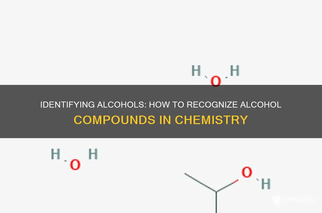 which of the following compunds is an alcohol