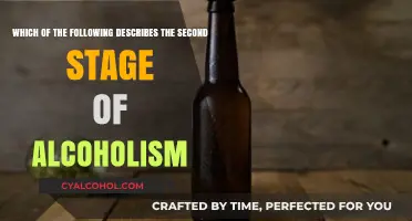Understanding Alcoholism: The Second Stage Explained