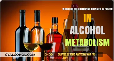 Alcohol Metabolism: Enzyme Efficiency Compared