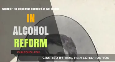 Alcohol Reform: Who Led the Change?
