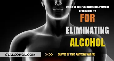 Liver's Main Role: Alcohol Elimination