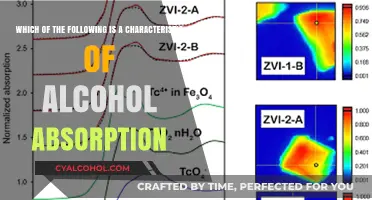 How Alcohol Absorption Works: Understanding the Process